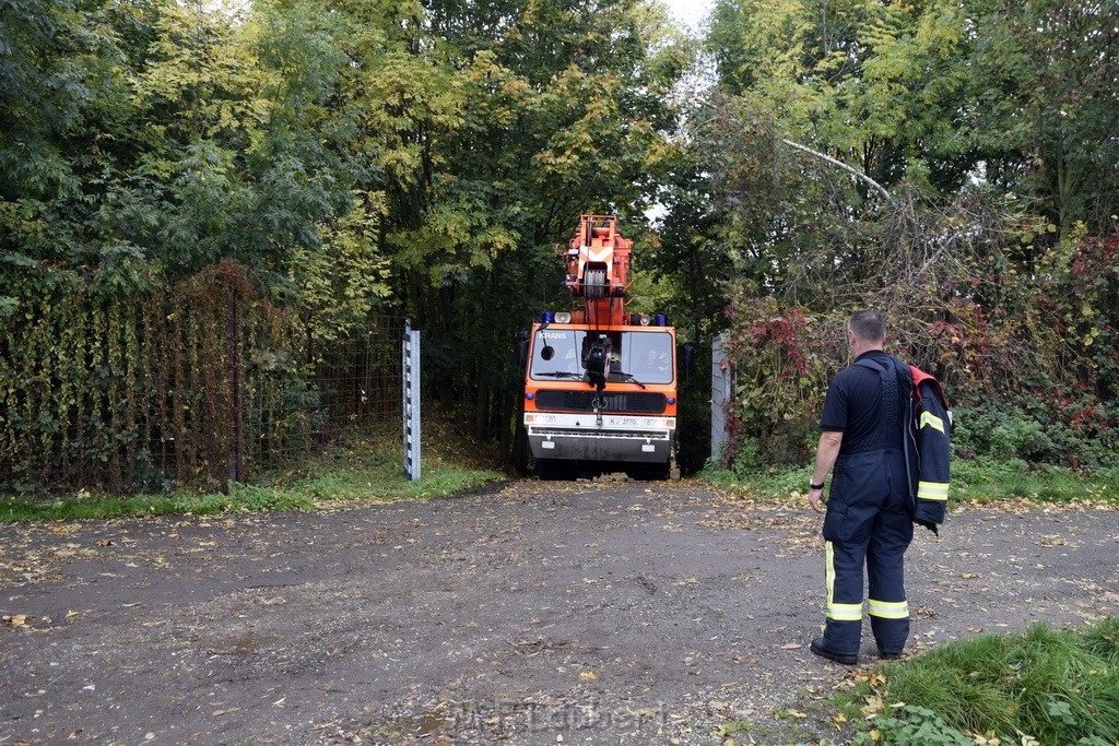 Einsatz BF Koeln PKW im See Koeln Esch P259.JPG - Miklos Laubert